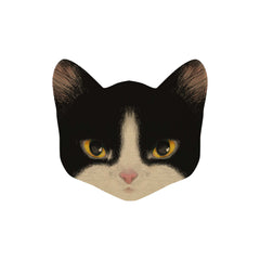 Cat Postcard