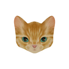 Cat Postcard