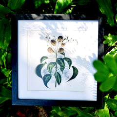 Botanical Square Framed Art Print