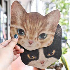 Cat Postcard
