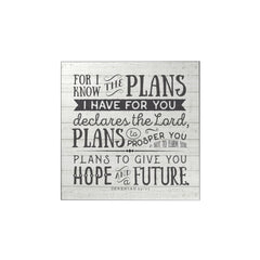 For I Know the Plans Magnet