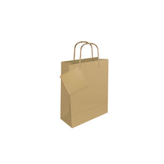 Christmas Gift Bag