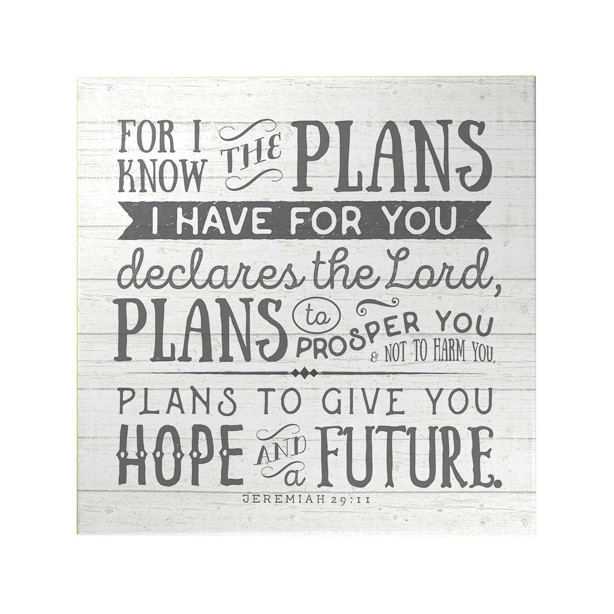 For I Know the Plans Decoposter