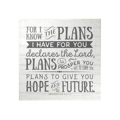 For I Know the Plans Decoposter