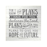 For I Know the Plans Decoposter