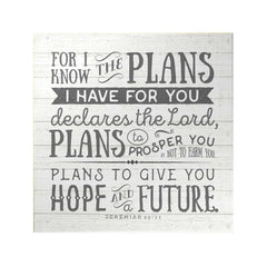 For I Know the Plans Decoposter
