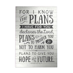 For I Know the Plans Decoposter