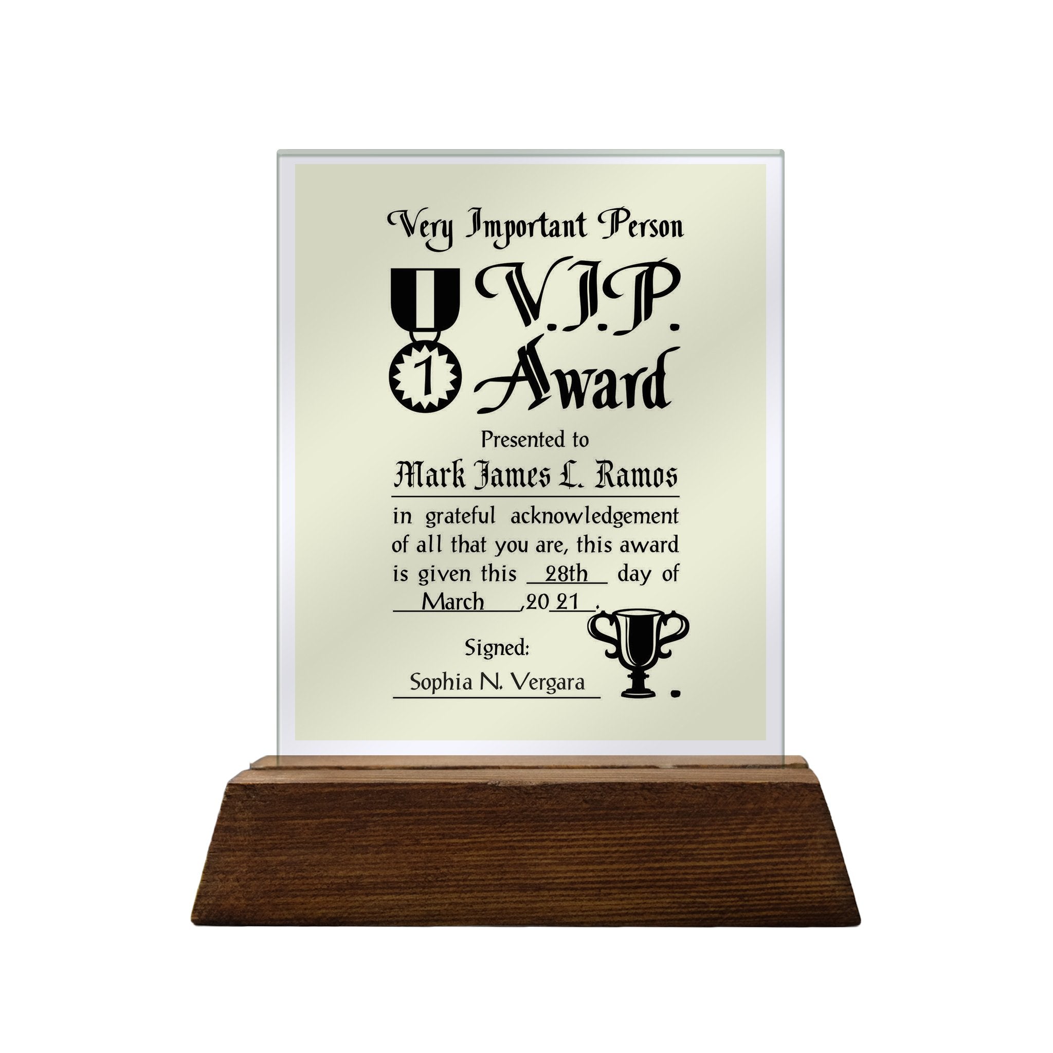 Very Important Person Award Personalized Glass Plaque