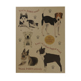 Illustrations Notebook