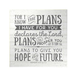 For I Know the Plans Decoposter