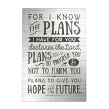 For I Know the Plans Decoposter