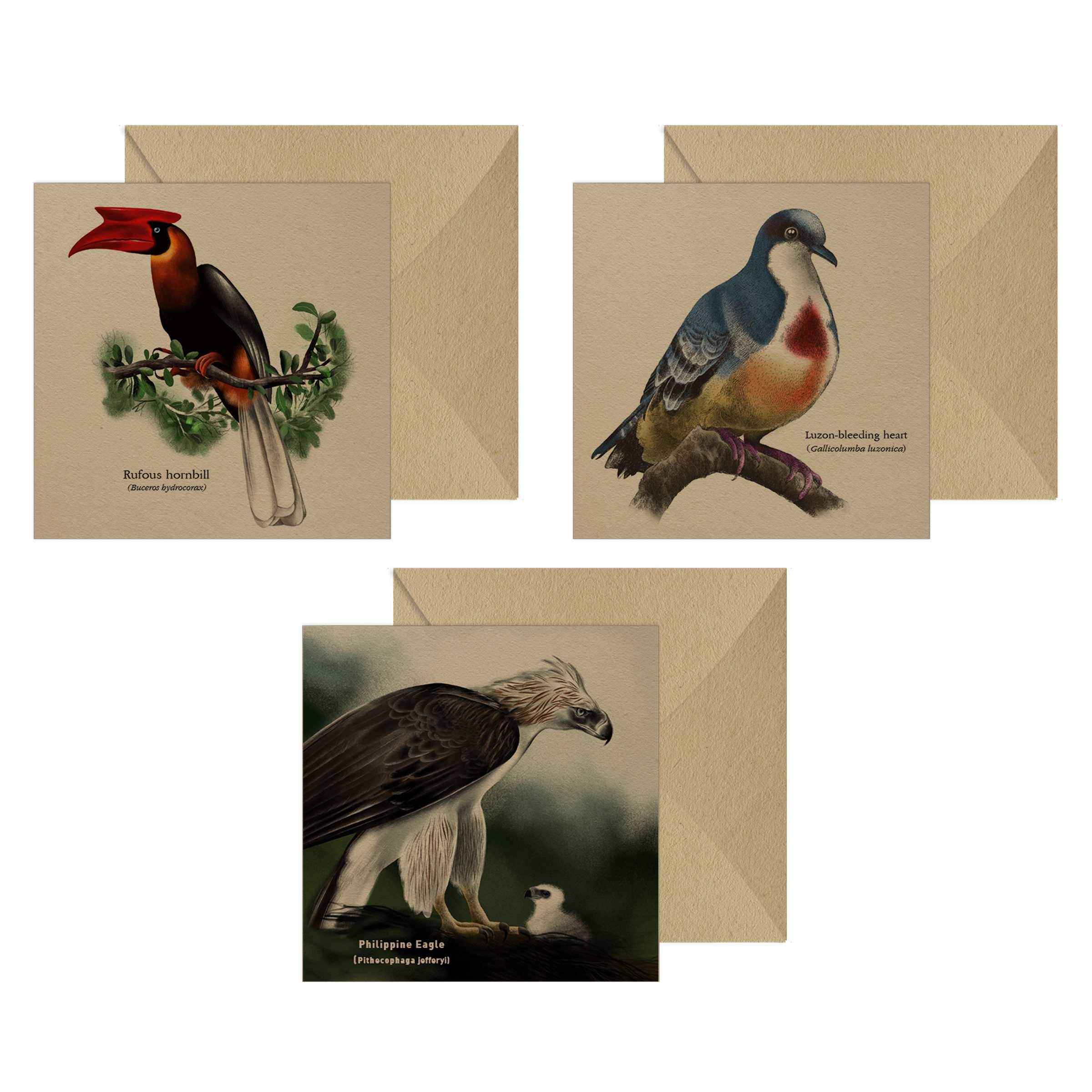 Philippine Birds Notecards