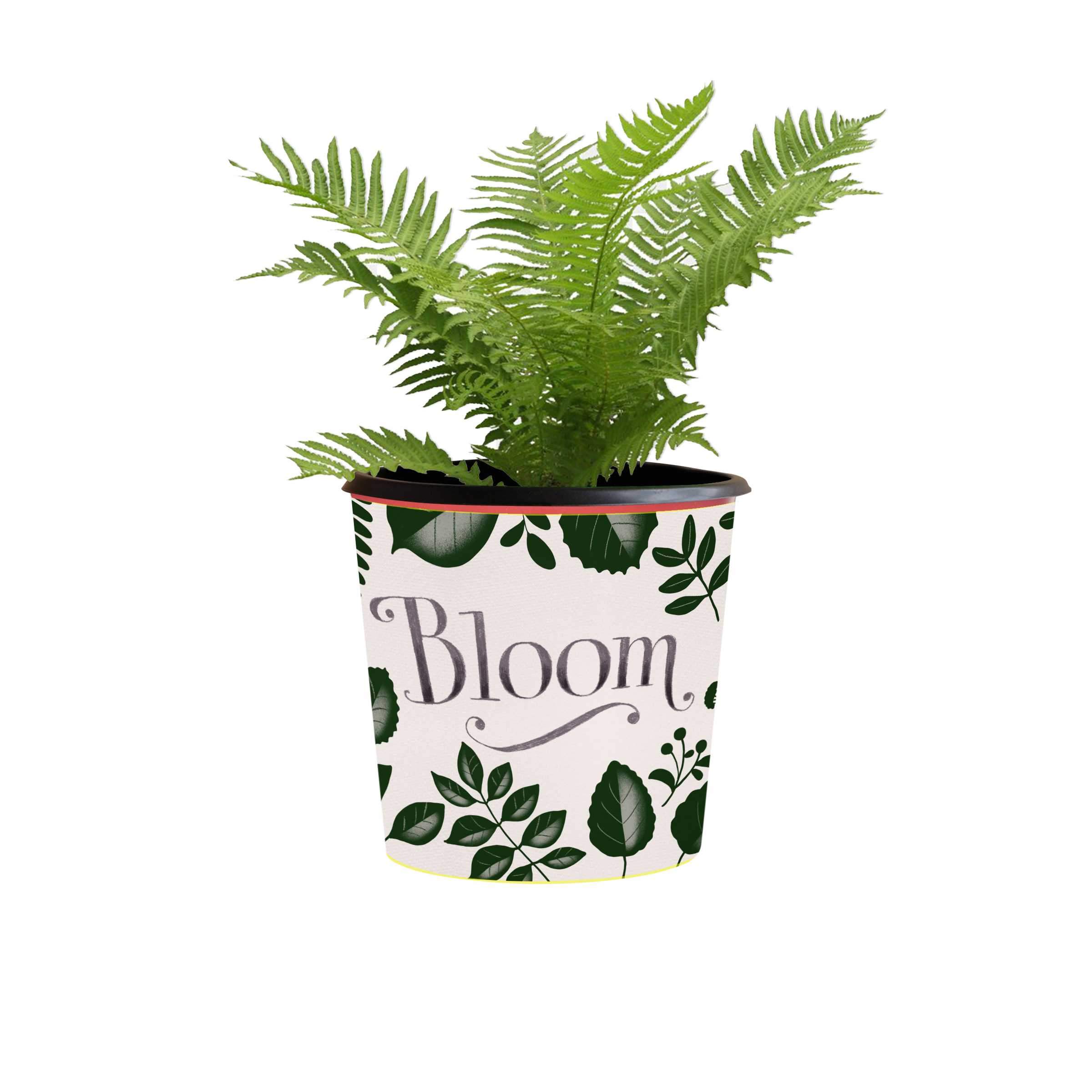 Bloom Pot Sleeve